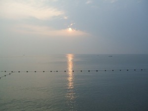 海面に反射する朝日が眩しいぜ・・・